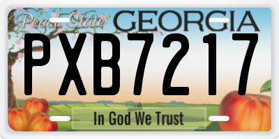 GA license plate PXB7217
