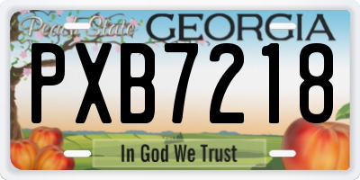 GA license plate PXB7218