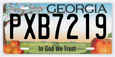 GA license plate PXB7219