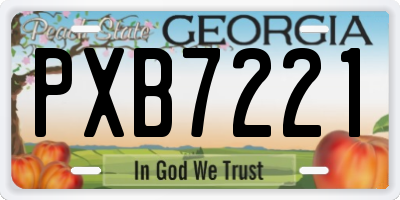 GA license plate PXB7221