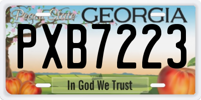 GA license plate PXB7223