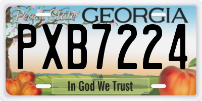 GA license plate PXB7224