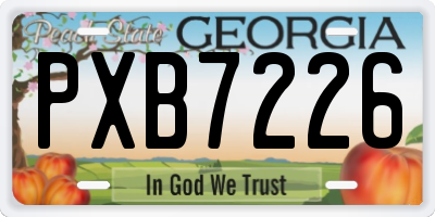 GA license plate PXB7226