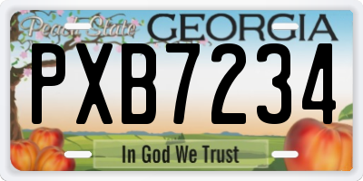 GA license plate PXB7234