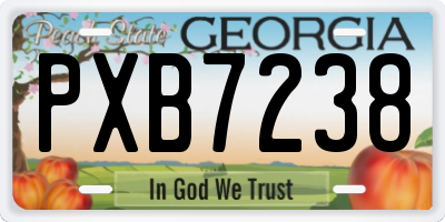 GA license plate PXB7238