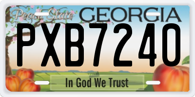 GA license plate PXB7240