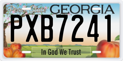 GA license plate PXB7241