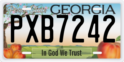 GA license plate PXB7242