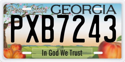 GA license plate PXB7243