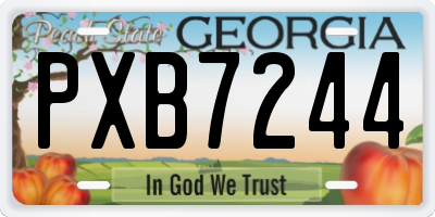 GA license plate PXB7244