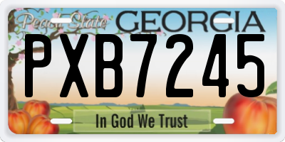GA license plate PXB7245