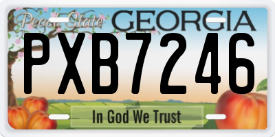 GA license plate PXB7246