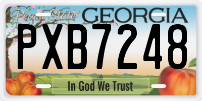 GA license plate PXB7248