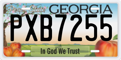 GA license plate PXB7255