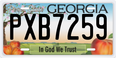 GA license plate PXB7259