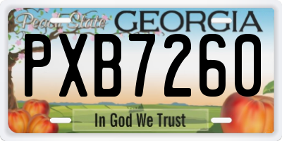 GA license plate PXB7260