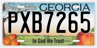 GA license plate PXB7265