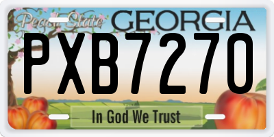 GA license plate PXB7270