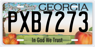 GA license plate PXB7273