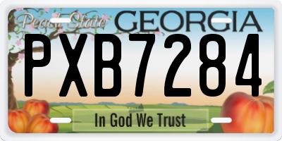 GA license plate PXB7284