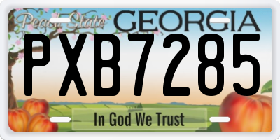 GA license plate PXB7285