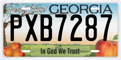GA license plate PXB7287