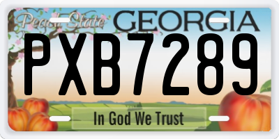 GA license plate PXB7289