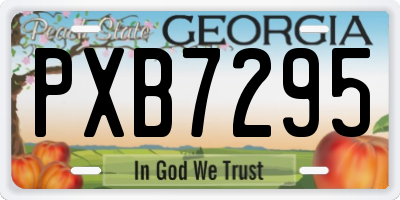 GA license plate PXB7295