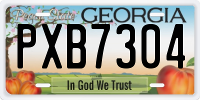 GA license plate PXB7304