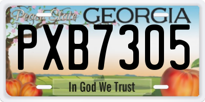 GA license plate PXB7305
