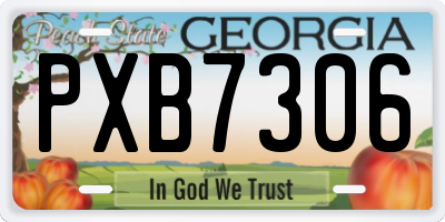 GA license plate PXB7306