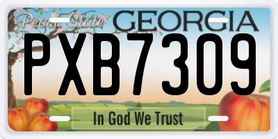 GA license plate PXB7309