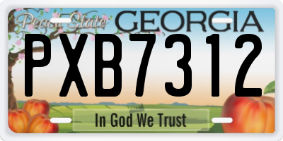 GA license plate PXB7312