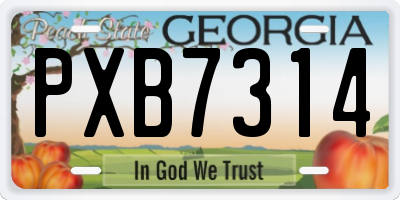 GA license plate PXB7314