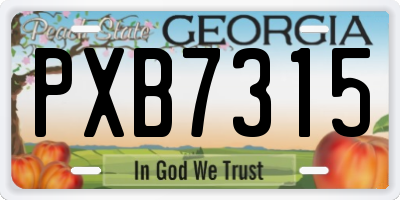 GA license plate PXB7315