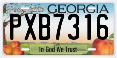 GA license plate PXB7316