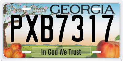 GA license plate PXB7317