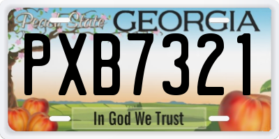 GA license plate PXB7321