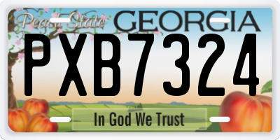GA license plate PXB7324