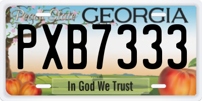 GA license plate PXB7333