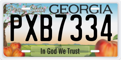 GA license plate PXB7334