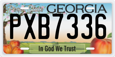GA license plate PXB7336