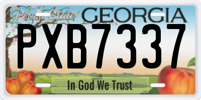 GA license plate PXB7337
