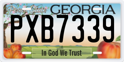 GA license plate PXB7339