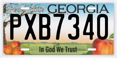 GA license plate PXB7340