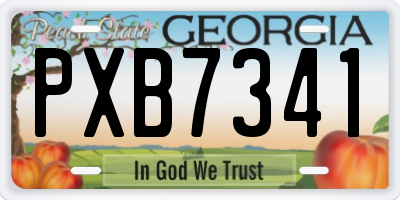 GA license plate PXB7341