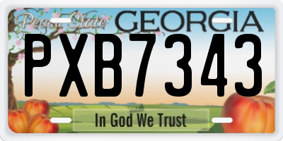 GA license plate PXB7343