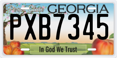 GA license plate PXB7345