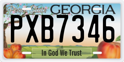 GA license plate PXB7346
