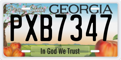 GA license plate PXB7347